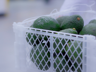 Nuevo producto para el sector agro