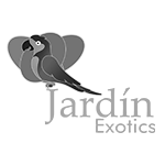 Jardín exotics