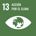 13. Acción por el clima
